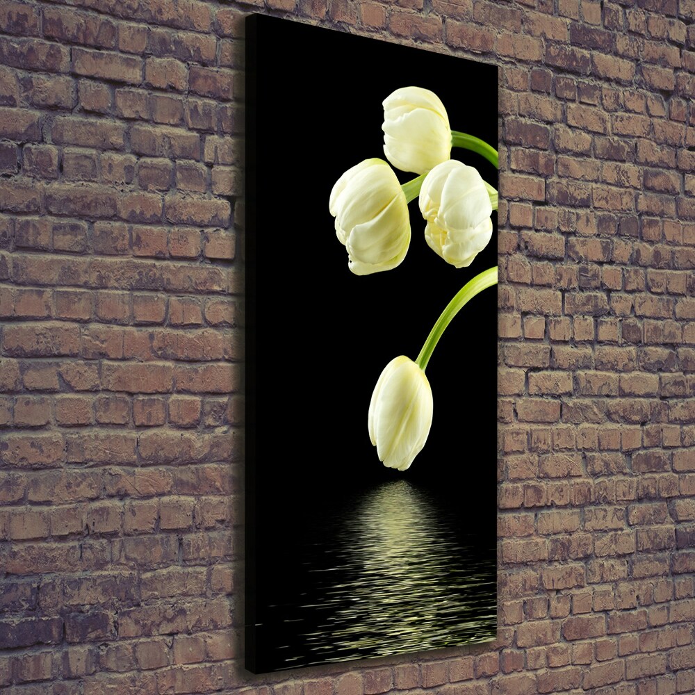 Tableau photo sur toile Tulipes blanches fleurs