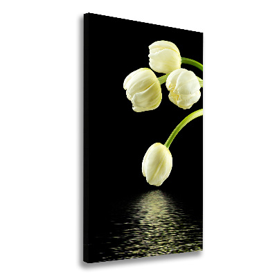 Tableau photo sur toile Tulipes blanches fleurs