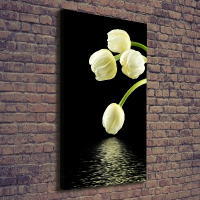 Tableau photo sur toile Tulipes blanches fleurs