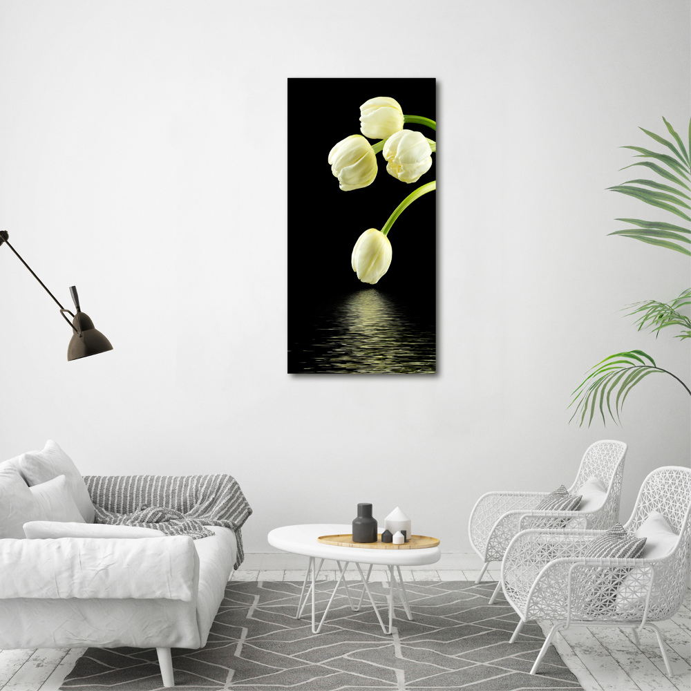 Tableau photo sur toile Tulipes blanches fleurs