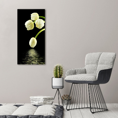 Tableau photo sur toile Tulipes blanches fleurs