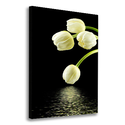 Tableau photo sur toile Tulipes blanches fleurs