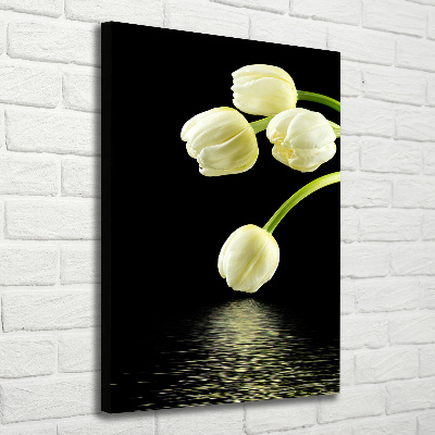 Tableau photo sur toile Tulipes blanches fleurs