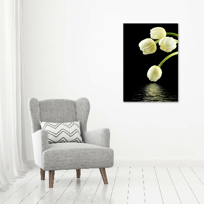 Tableau photo sur toile Tulipes blanches fleurs