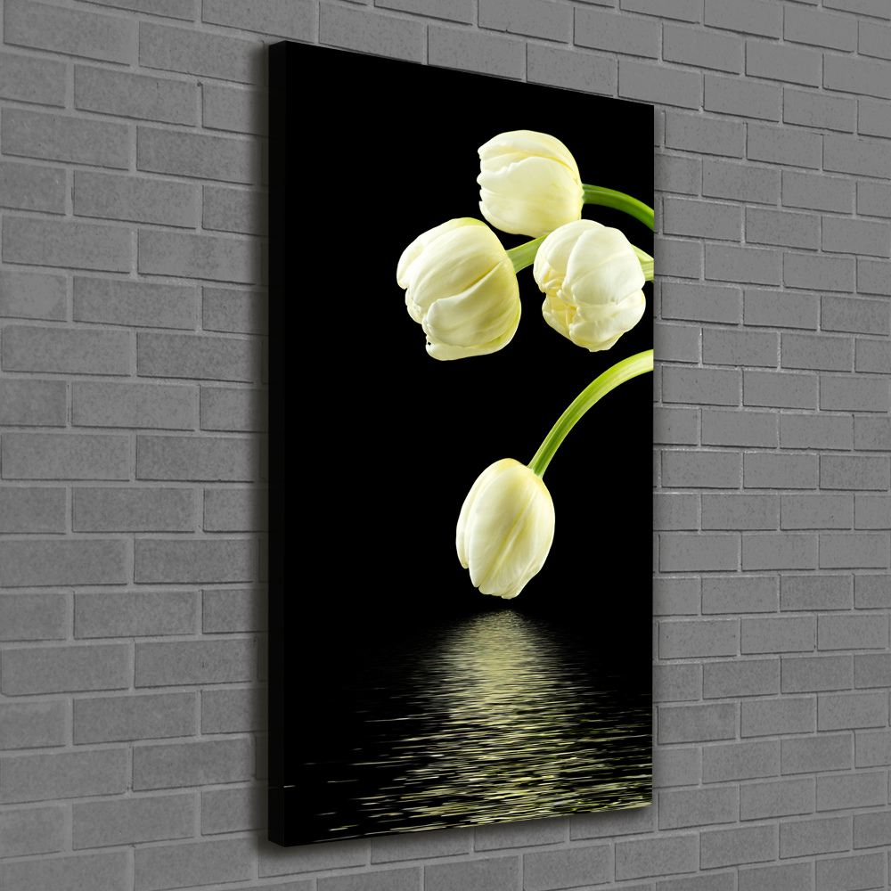 Tableau photo sur toile Tulipes blanches fleurs