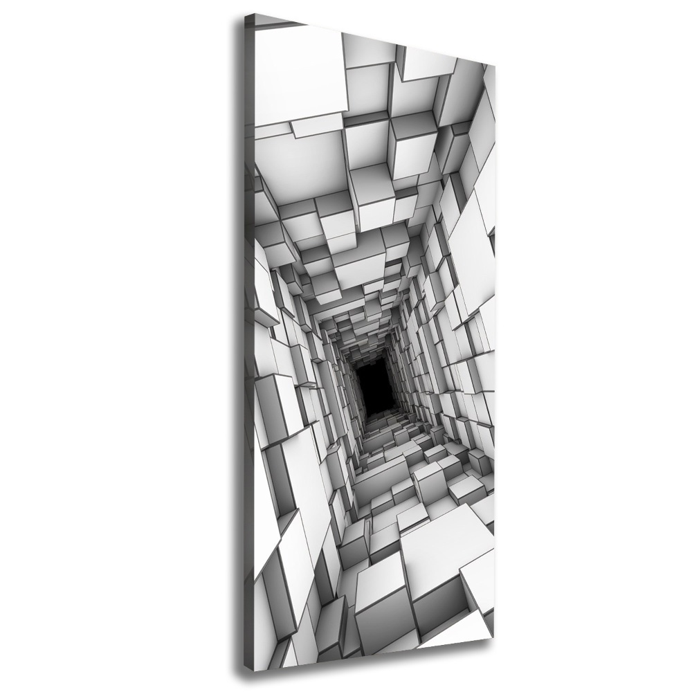 Tableau sur toile Tunnel de cubes