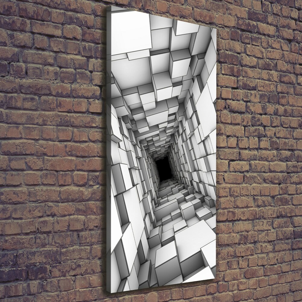 Tableau sur toile Tunnel de cubes