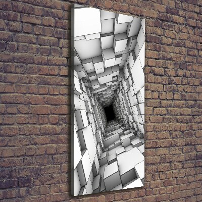 Tableau sur toile Tunnel de cubes