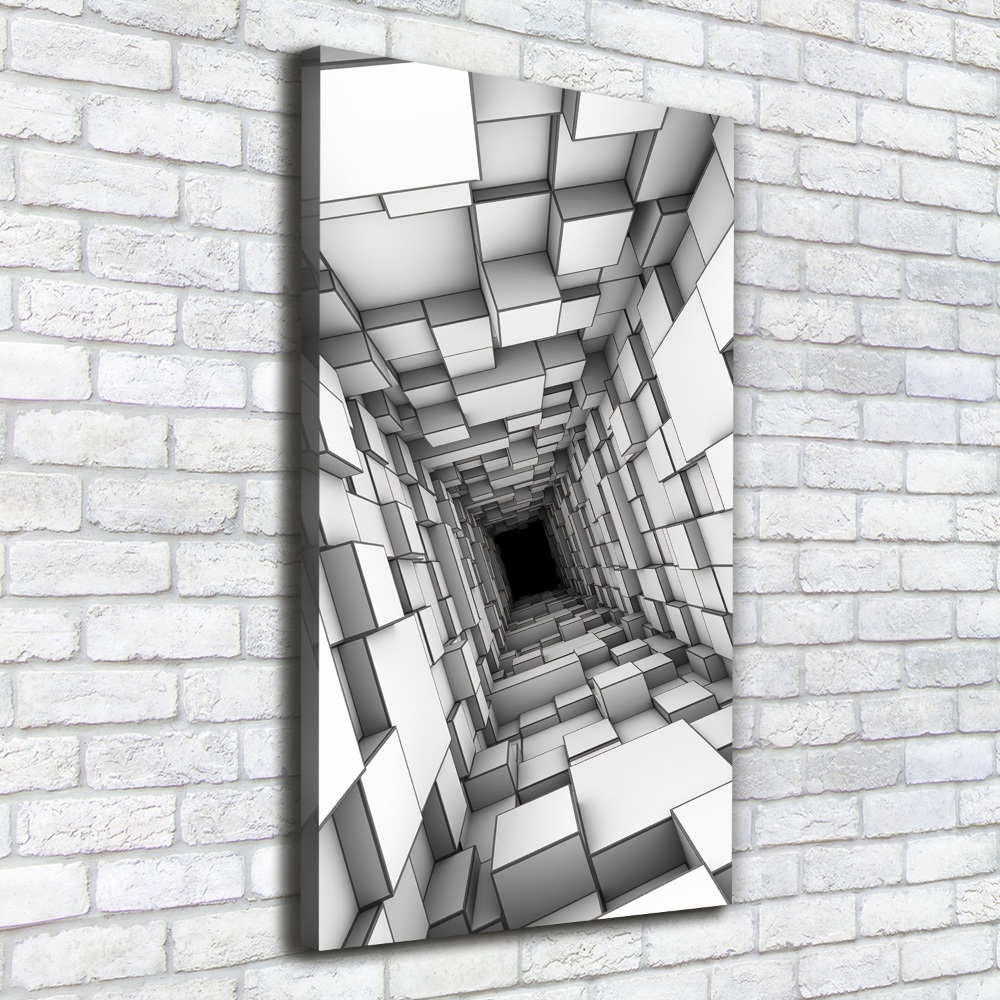 Tableau sur toile Tunnel de cubes