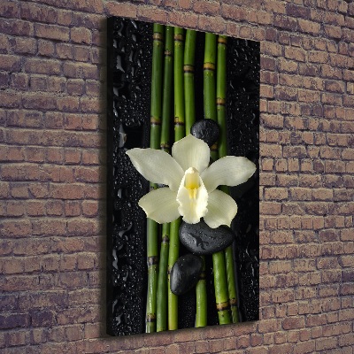 Tableau mural sur toile Orchidée et bambou