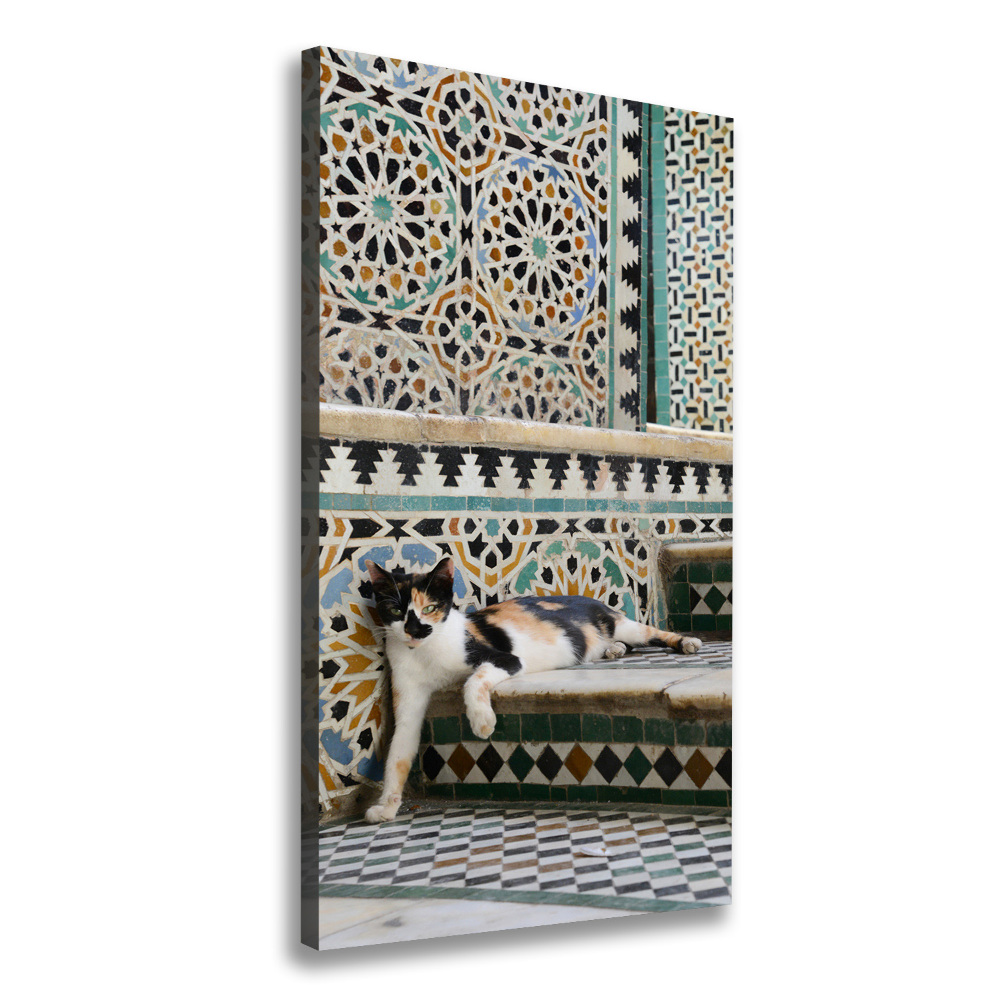 Tableau imprimé sur toile Chat marocain