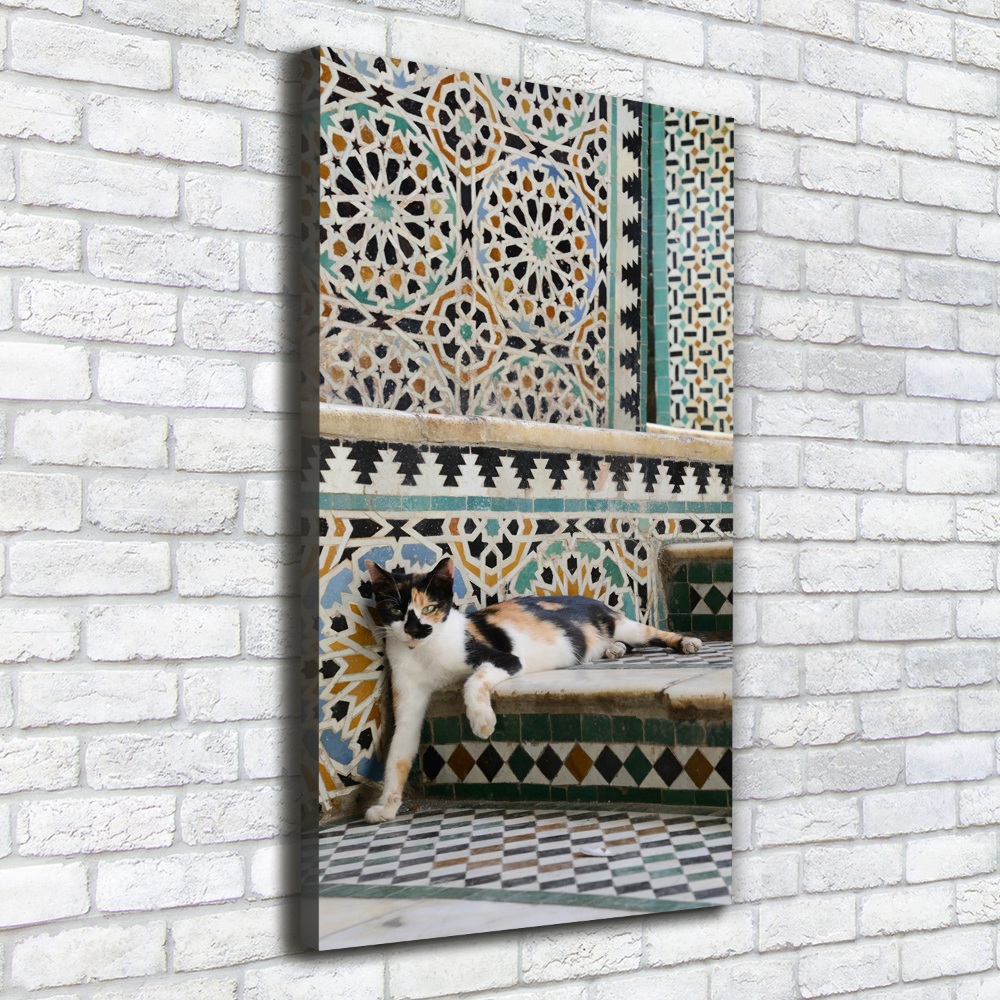 Tableau imprimé sur toile Chat marocain