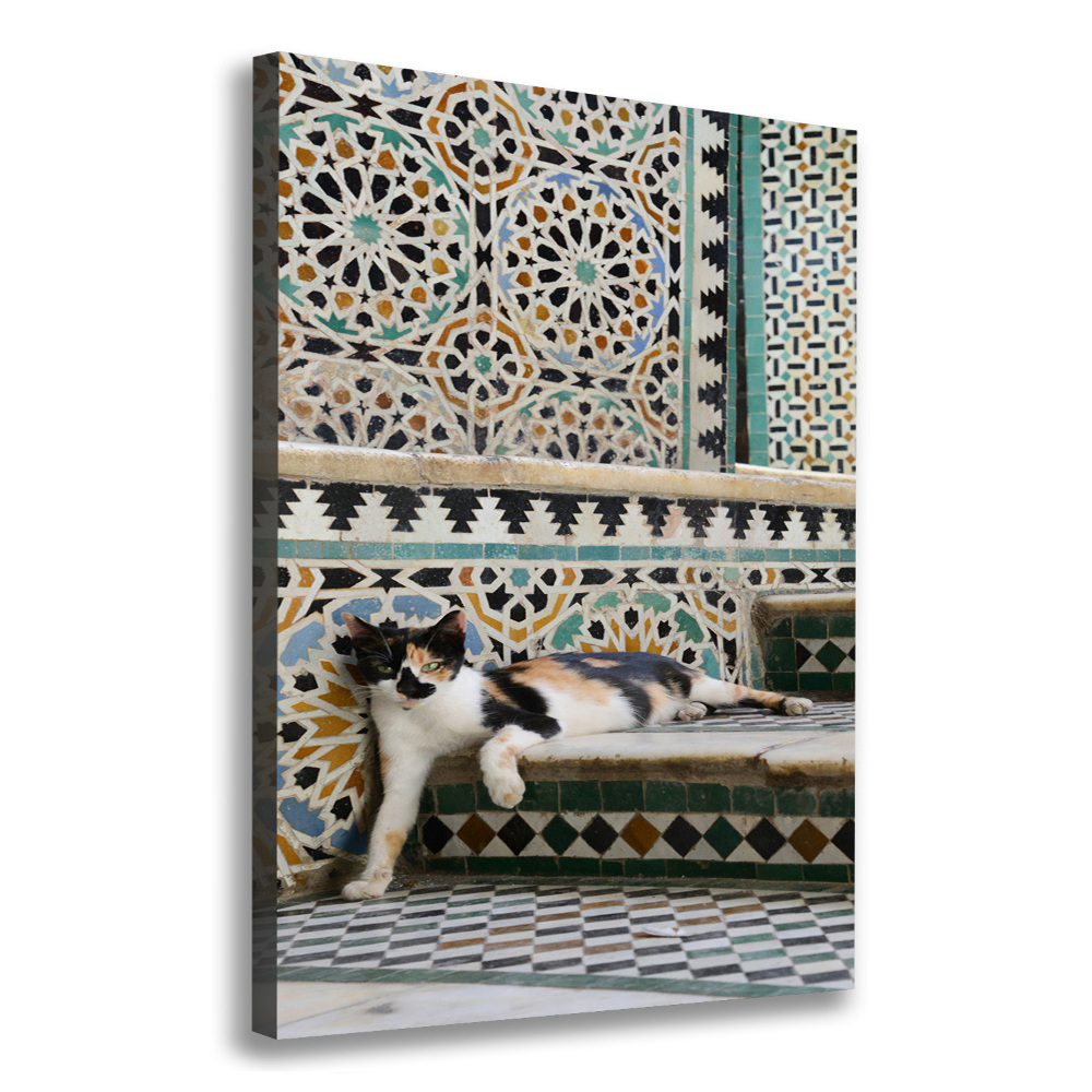 Tableau imprimé sur toile Chat marocain