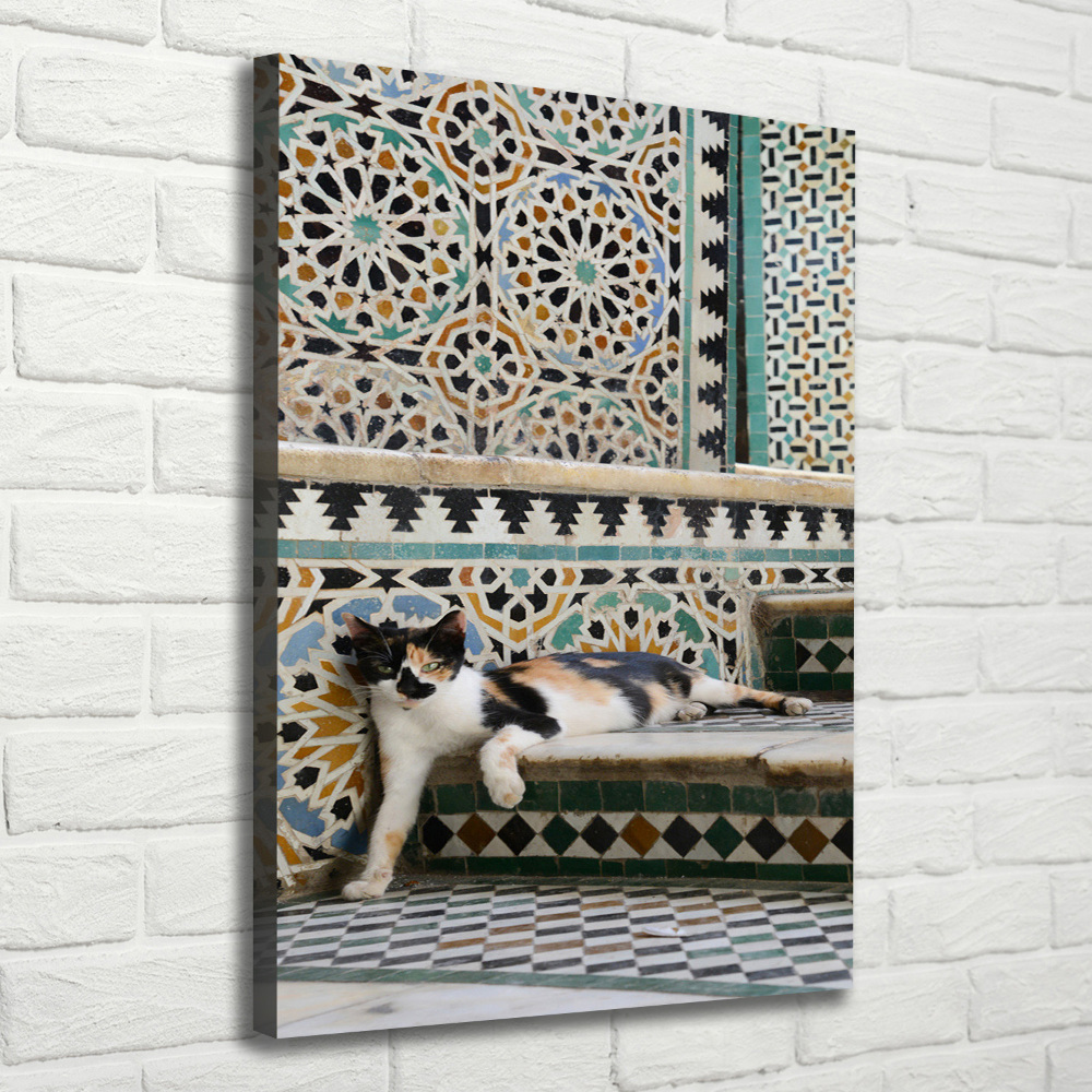 Tableau imprimé sur toile Chat marocain