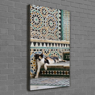 Tableau imprimé sur toile Chat marocain