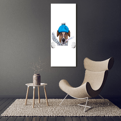 Tableau photo sur toile Chien malade