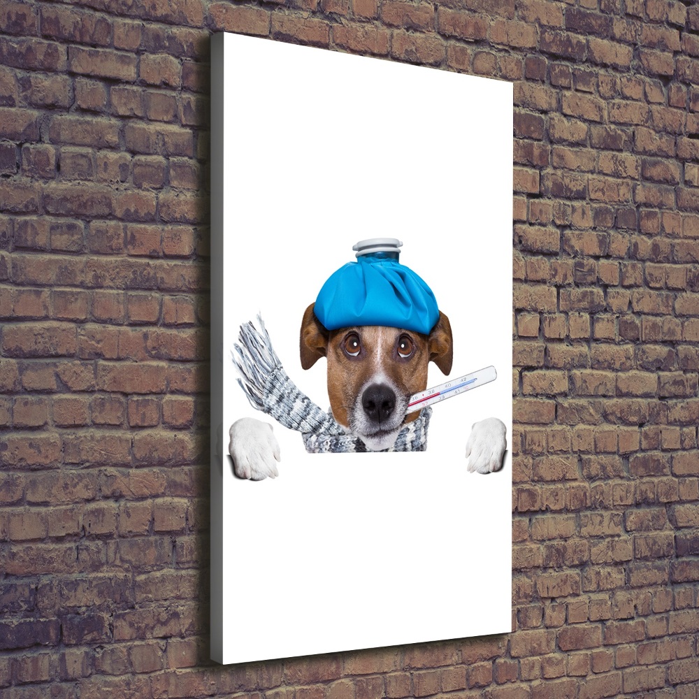 Tableau photo sur toile Chien malade