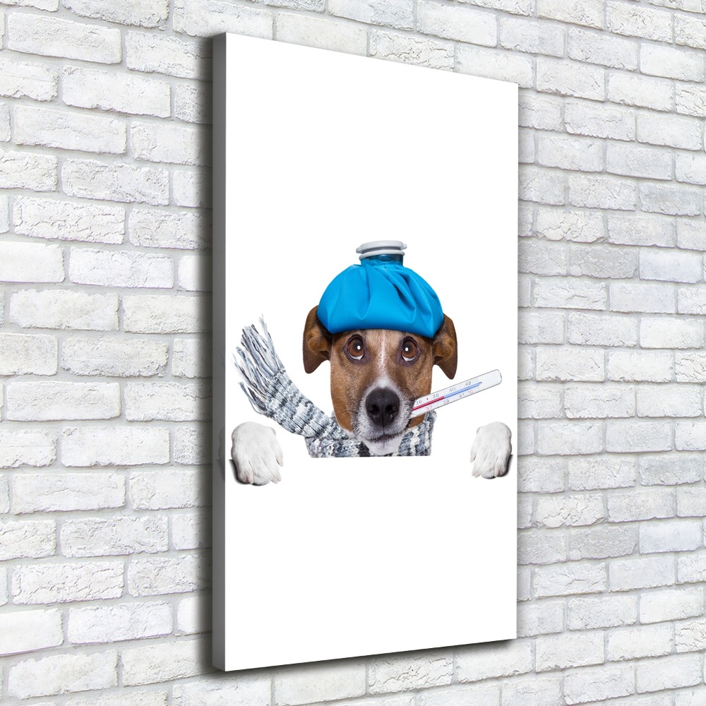 Tableau photo sur toile Chien malade