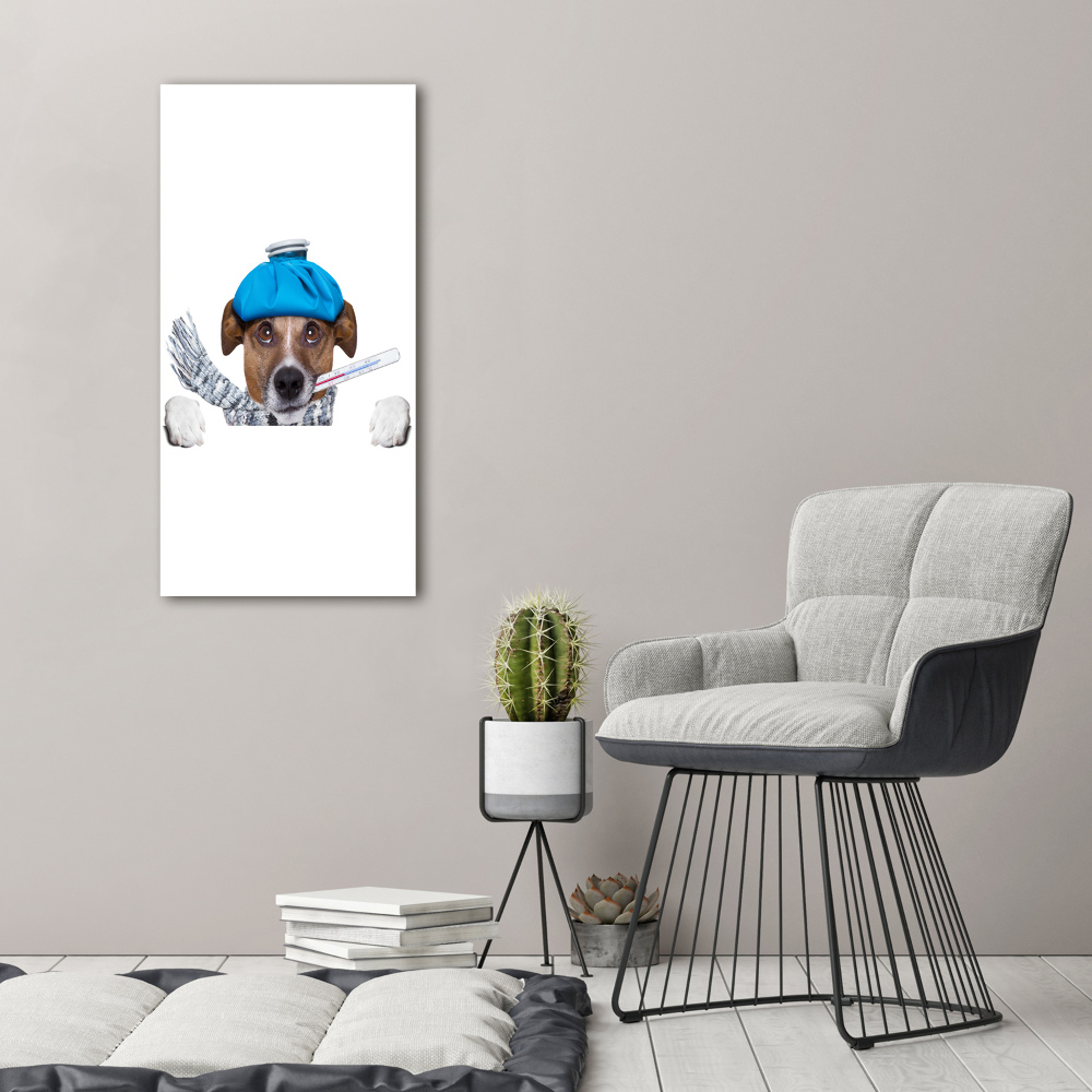 Tableau photo sur toile Chien malade