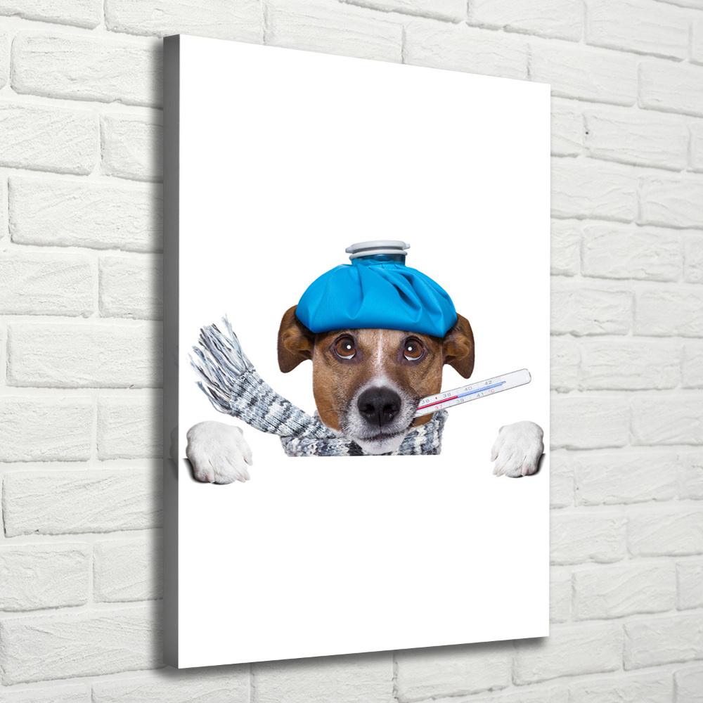 Tableau photo sur toile Chien malade