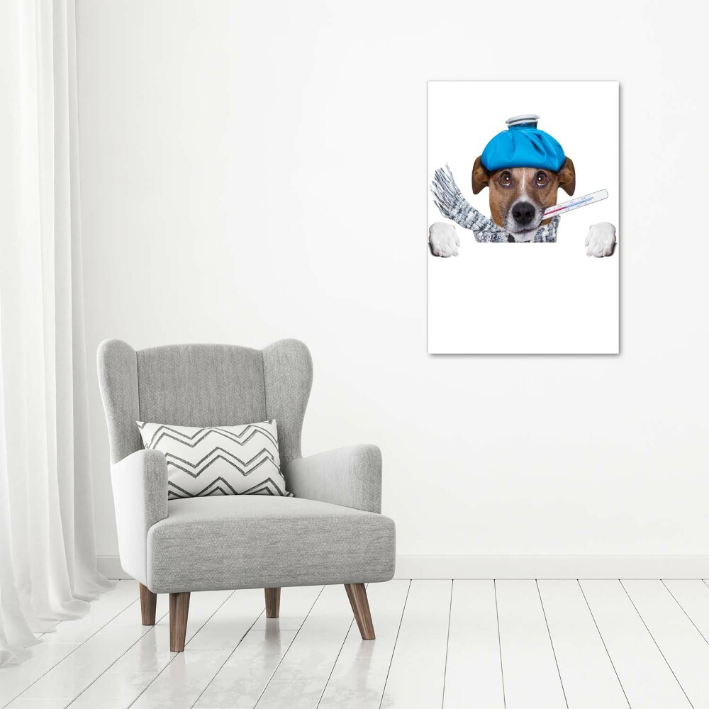 Tableau photo sur toile Chien malade