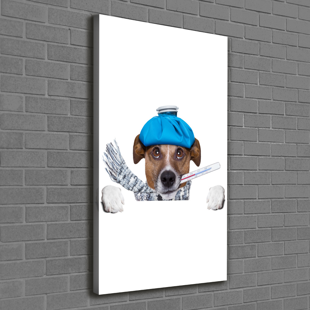 Tableau photo sur toile Chien malade