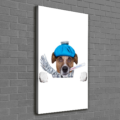 Tableau photo sur toile Chien malade