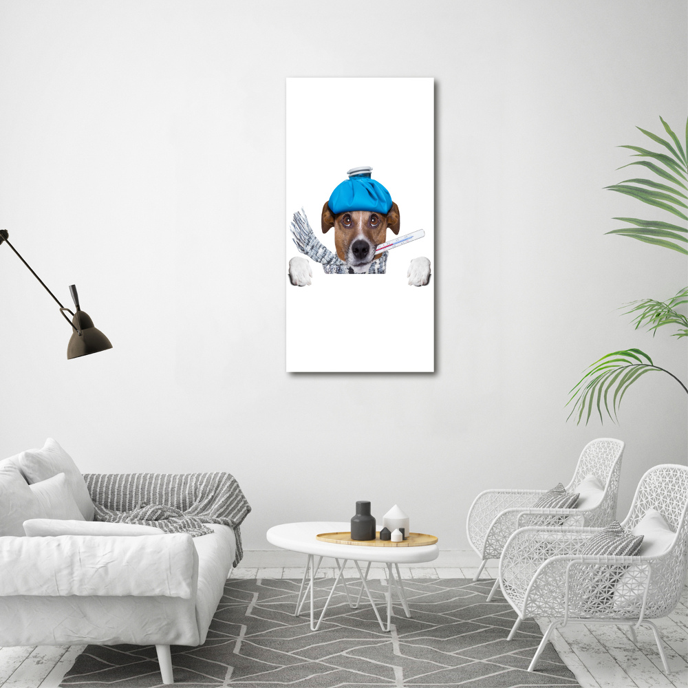 Tableau photo sur toile Chien malade