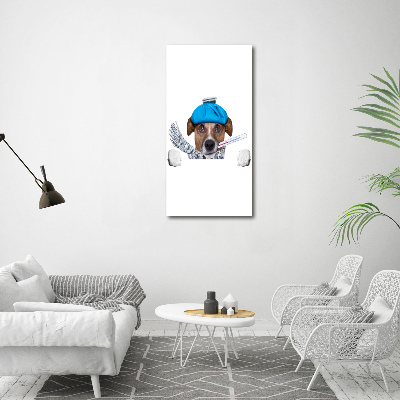 Tableau photo sur toile Chien malade