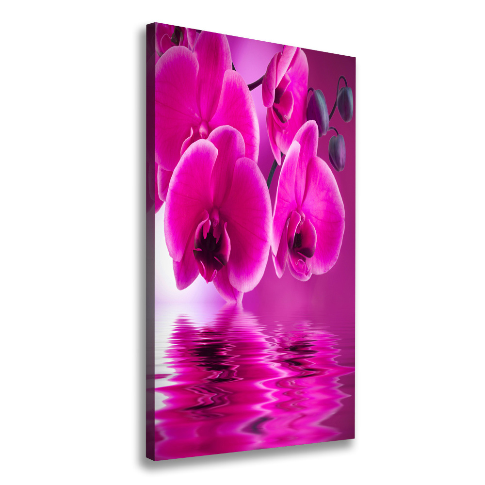 Tableau photo sur toile Orchidée rose fleur