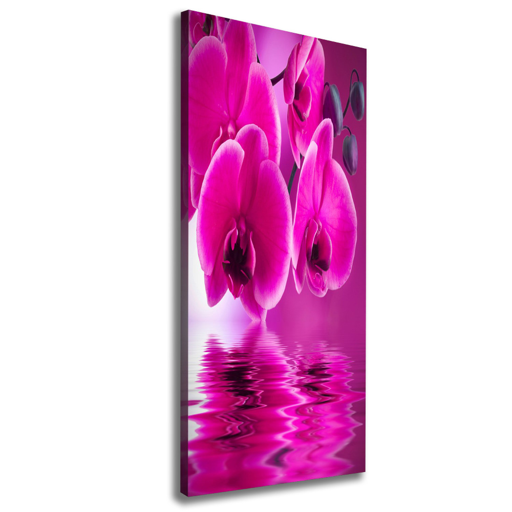 Tableau photo sur toile Orchidée rose fleur