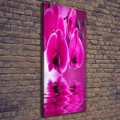 Tableau photo sur toile Orchidée rose fleur