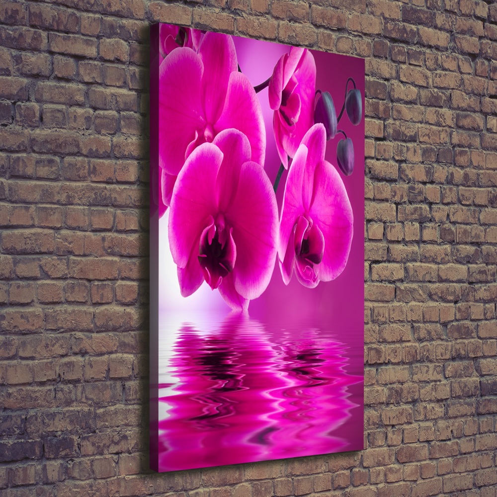 Tableau photo sur toile Orchidée rose fleur