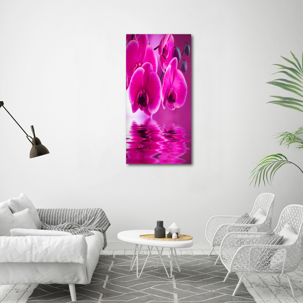 Tableau photo sur toile Orchidée rose fleur