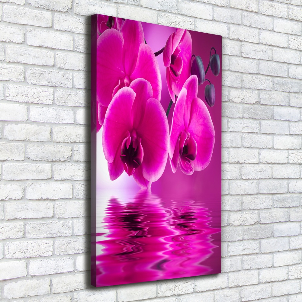 Tableau photo sur toile Orchidée rose fleur