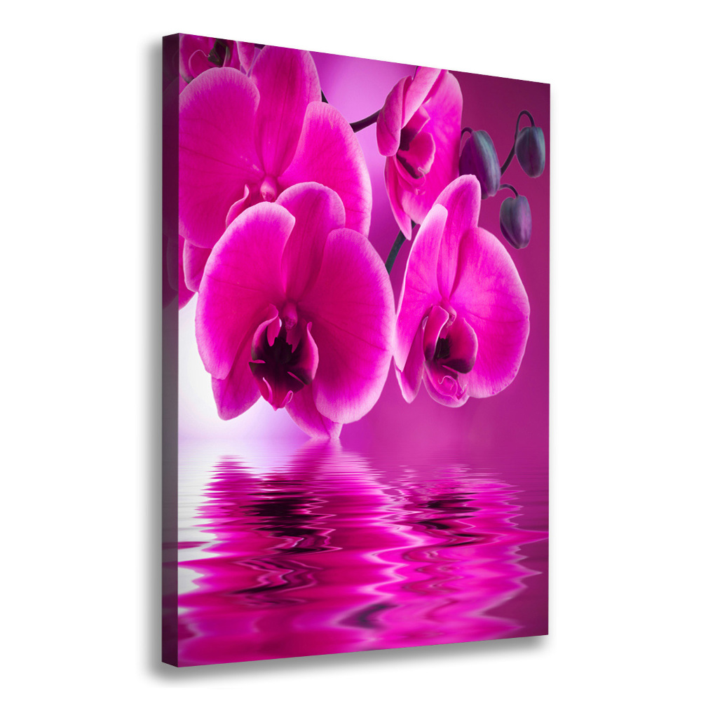 Tableau photo sur toile Orchidée rose fleur