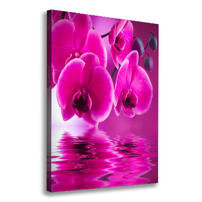 Tableau photo sur toile Orchidée rose fleur