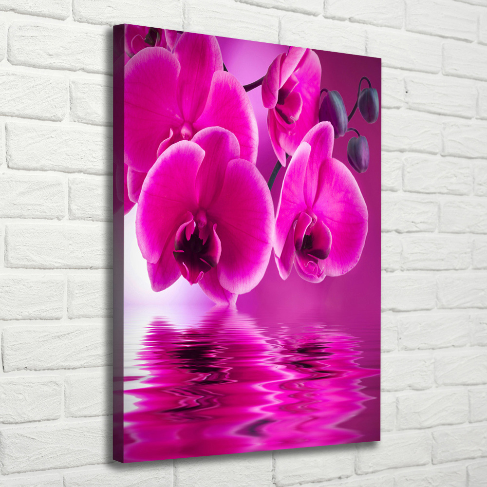 Tableau photo sur toile Orchidée rose fleur