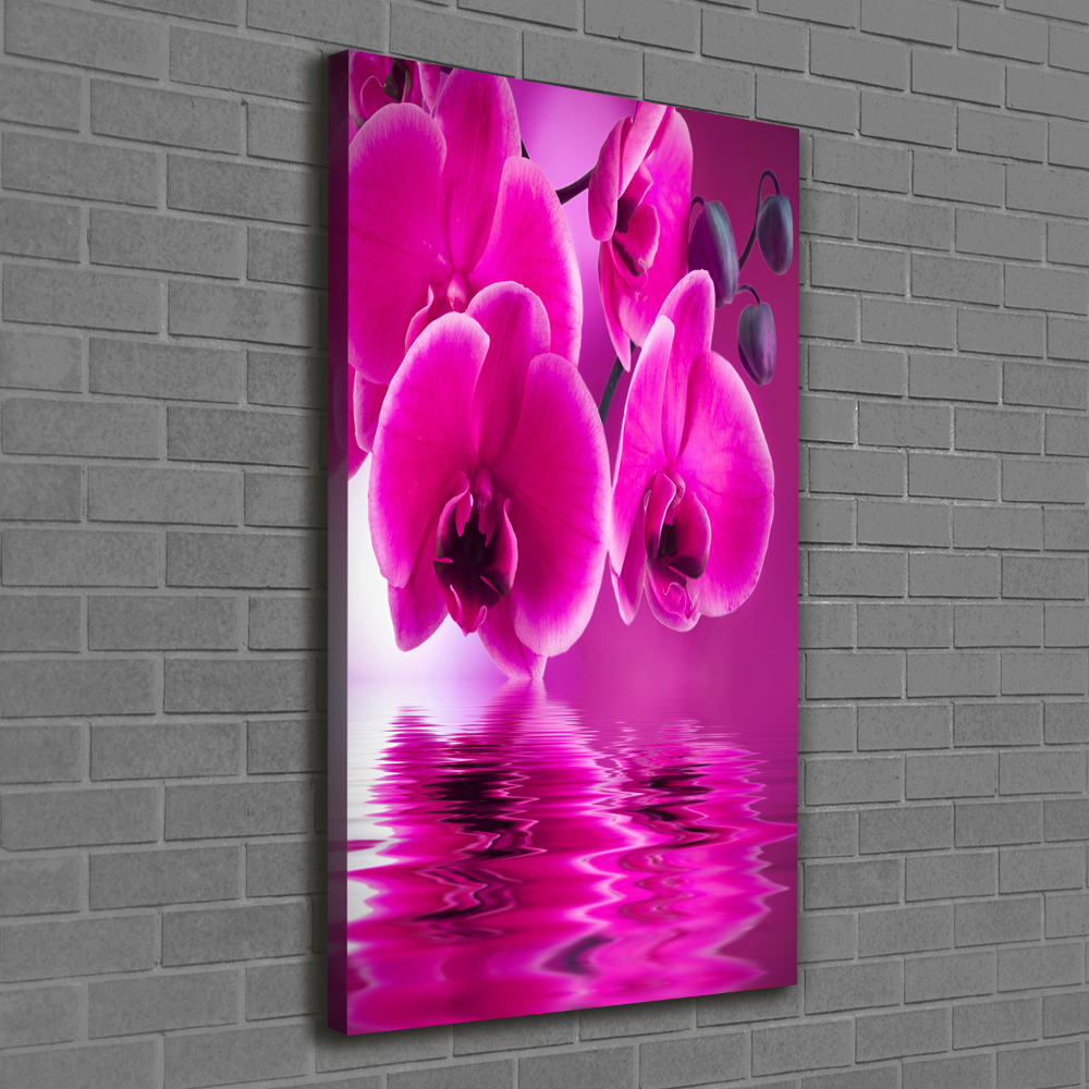 Tableau photo sur toile Orchidée rose fleur