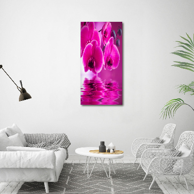 Tableau photo sur toile Orchidée rose fleur