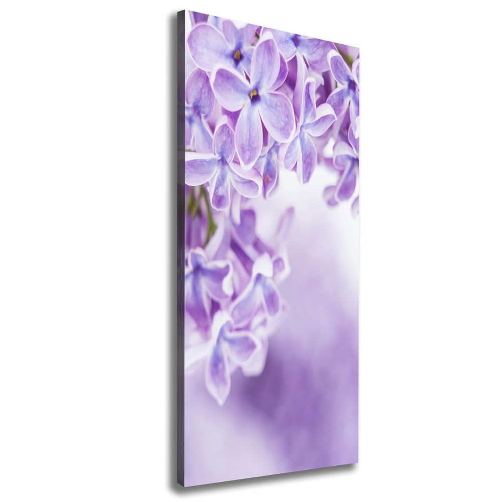 Tableau imprimé sur toile Fleurs de lilas