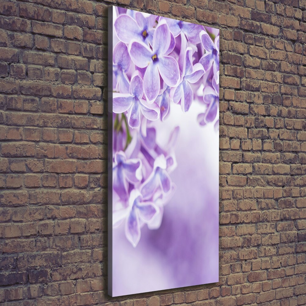 Tableau imprimé sur toile Fleurs de lilas