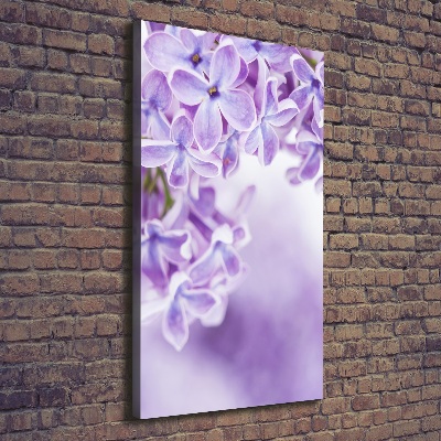 Tableau imprimé sur toile Fleurs de lilas