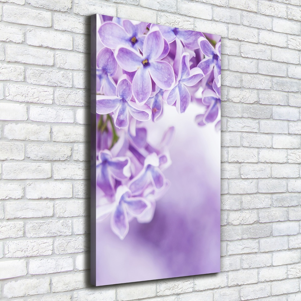 Tableau imprimé sur toile Fleurs de lilas