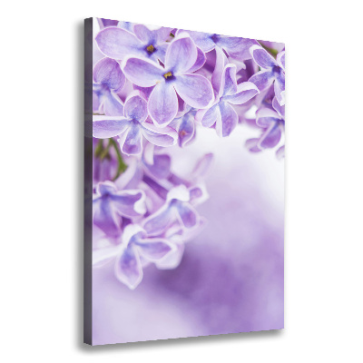 Tableau imprimé sur toile Fleurs de lilas