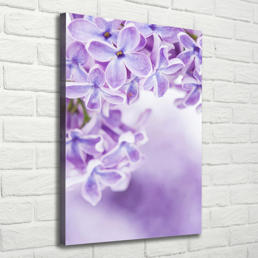 Tableau imprimé sur toile Fleurs de lilas