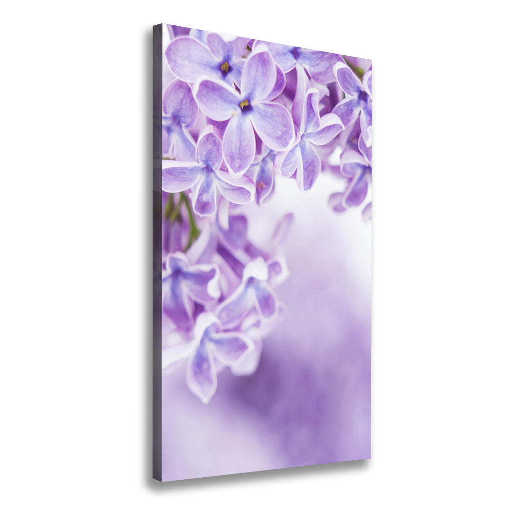 Tableau imprimé sur toile Fleurs de lilas