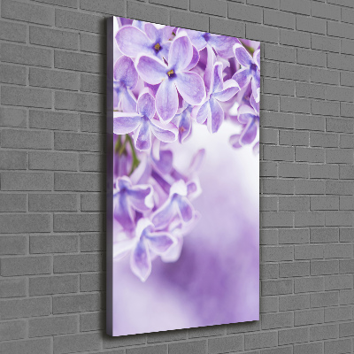 Tableau imprimé sur toile Fleurs de lilas