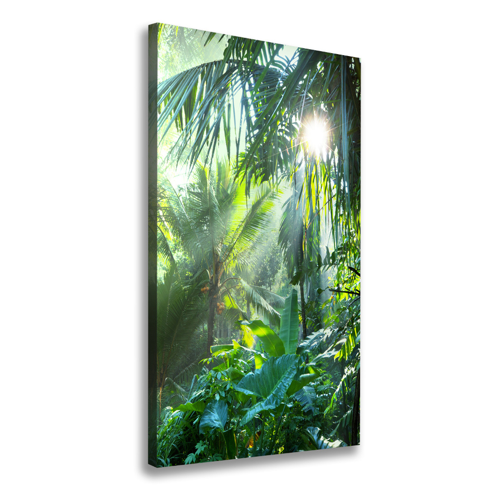 Tableau photo sur toile Jungle