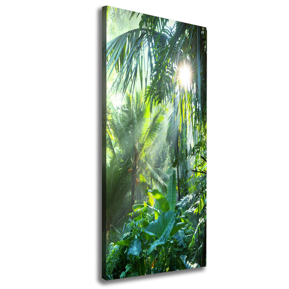 Tableau photo sur toile Jungle